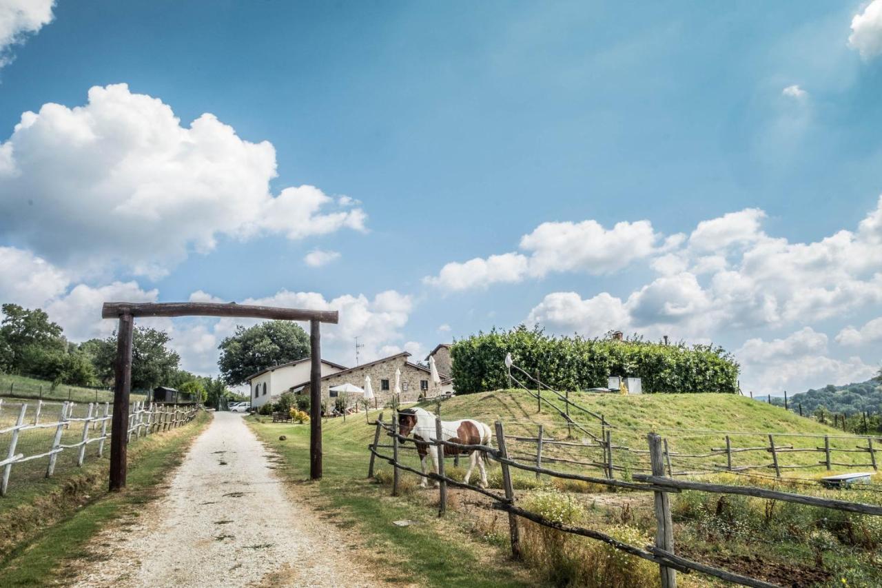 Agriturismo Goccia Di Luna Umbertide Exteriér fotografie