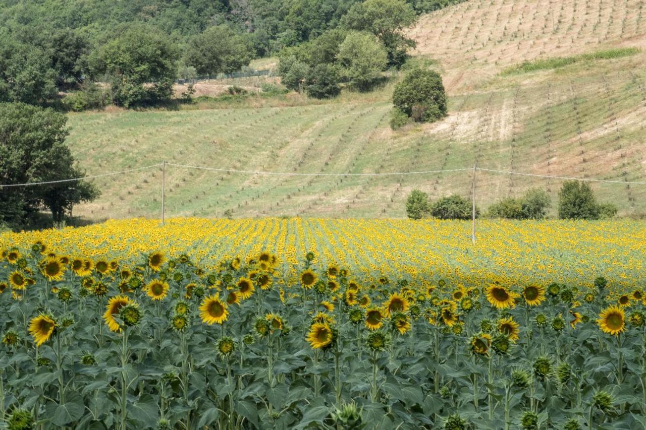 Agriturismo Goccia Di Luna Umbertide Exteriér fotografie