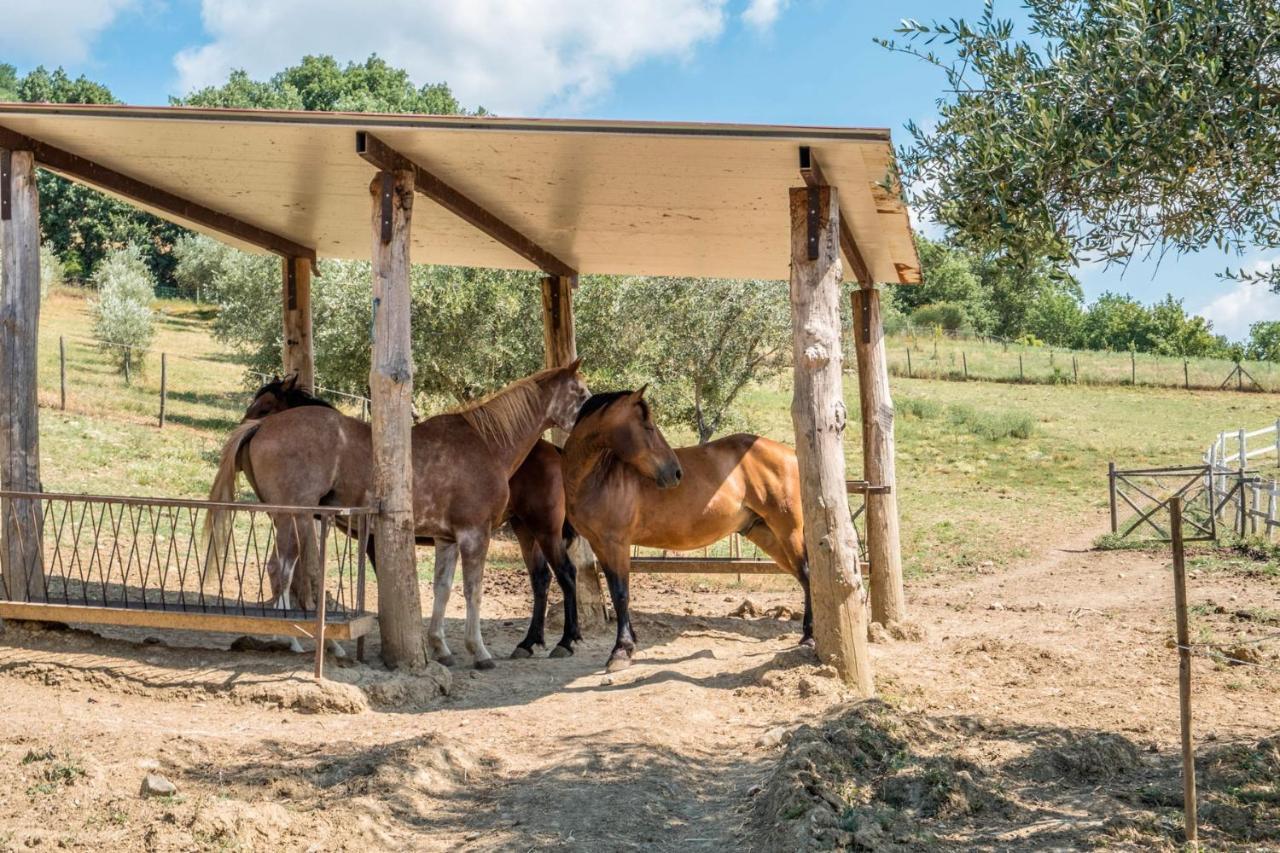 Agriturismo Goccia Di Luna Umbertide Exteriér fotografie