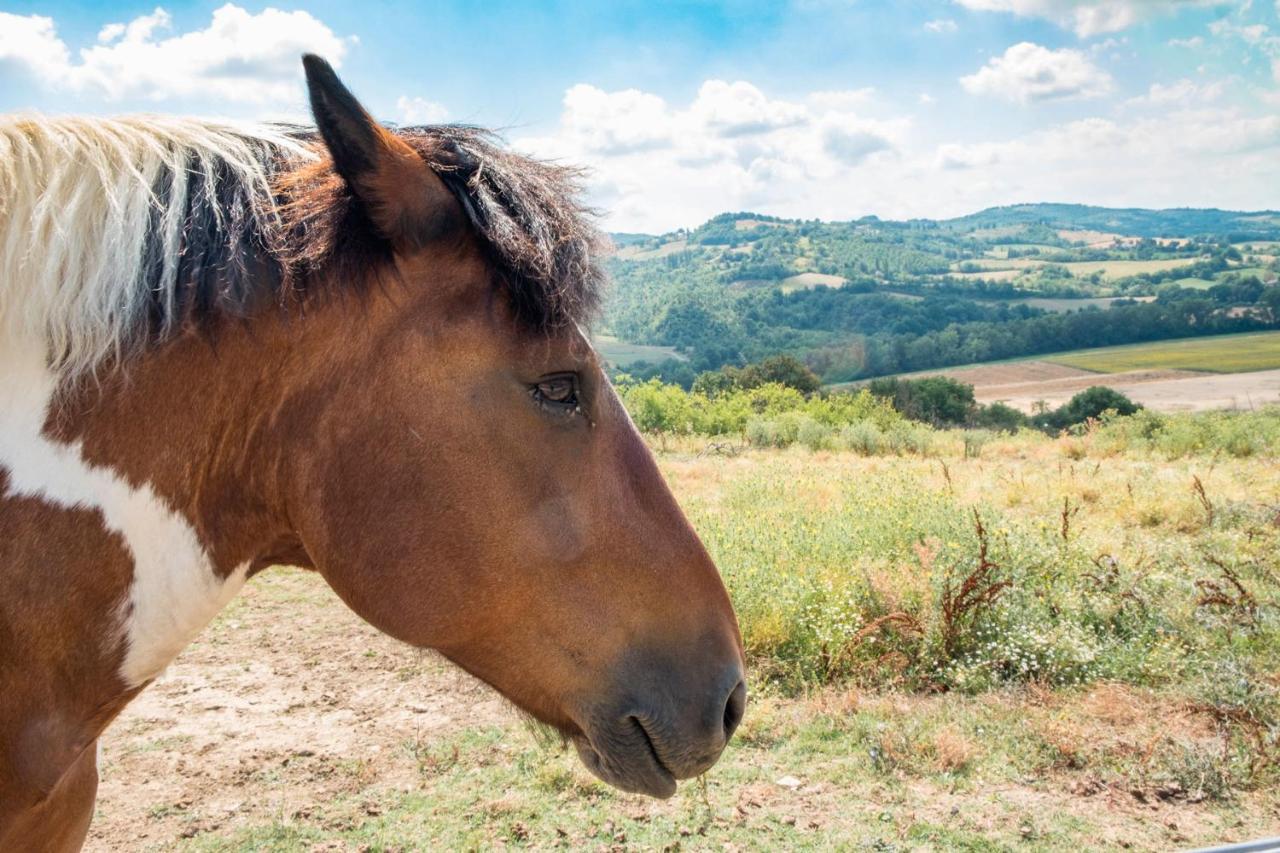 Agriturismo Goccia Di Luna Umbertide Exteriér fotografie