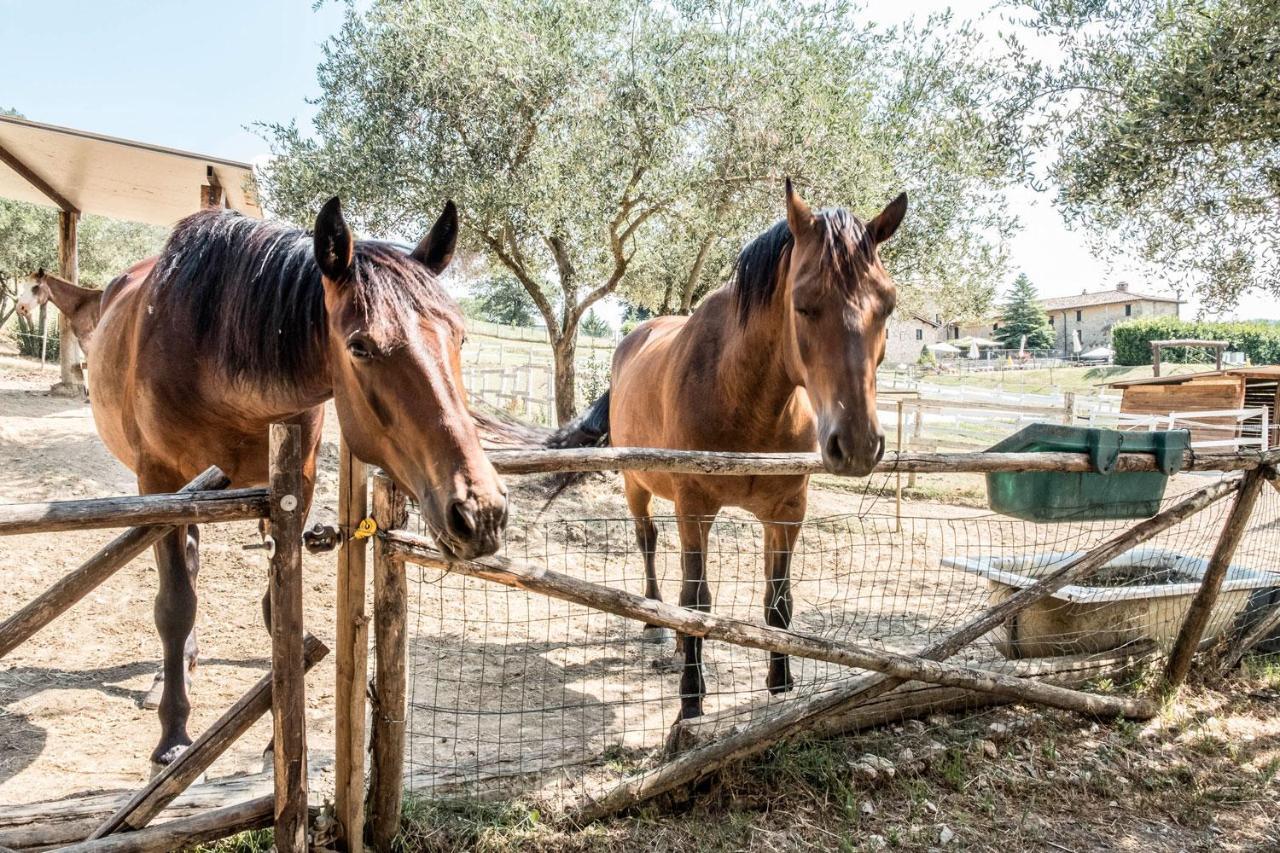 Agriturismo Goccia Di Luna Umbertide Exteriér fotografie