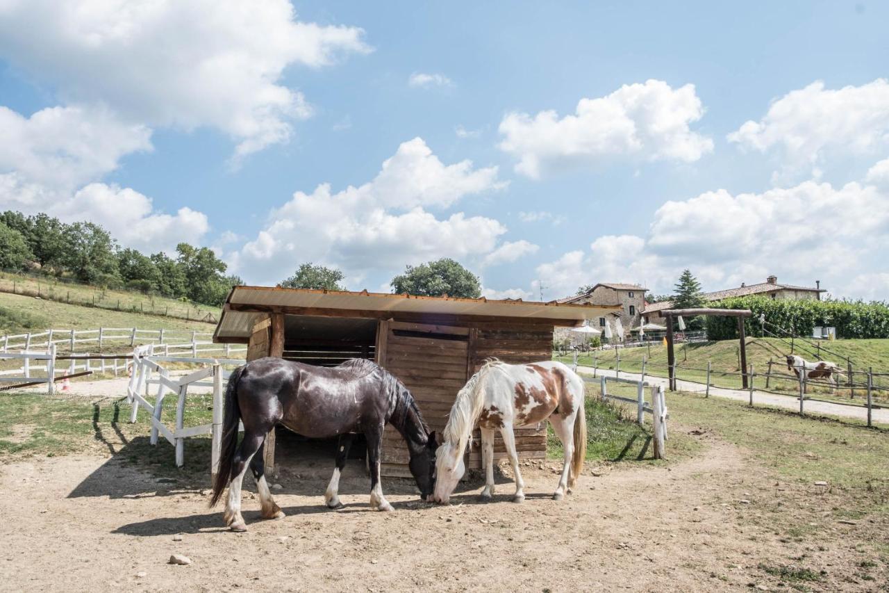 Agriturismo Goccia Di Luna Umbertide Exteriér fotografie
